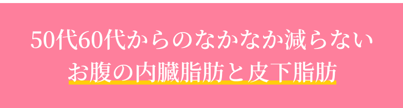 50代60代からのなかなか減らないお腹の内臓脂肪と皮下脂肪